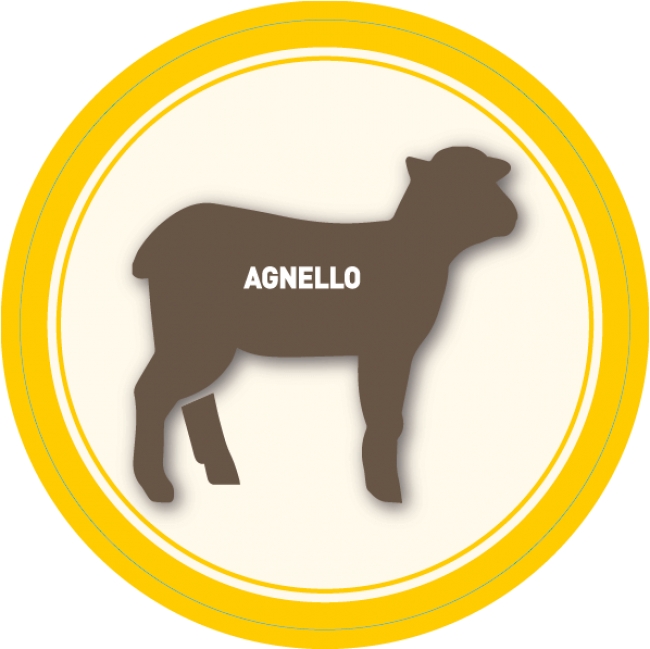Agnello