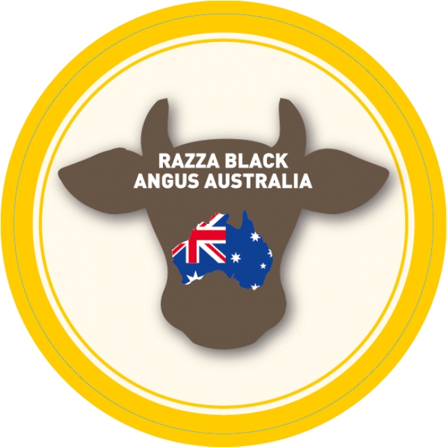 Razza Black Angus origine Australia