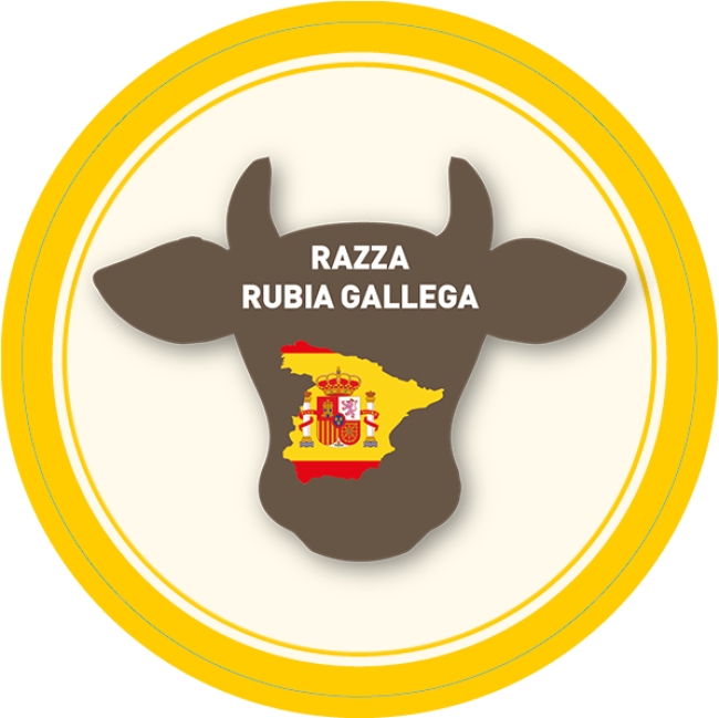 Rubia Gallega Breed