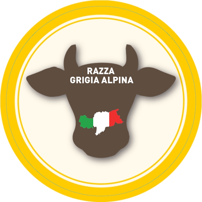 Razza Grigia Alpina